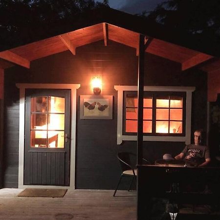 Unique Tiny House Near 3 Peaks - The Zedshed Apartment Bentham Екстериор снимка