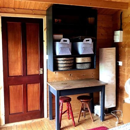 Unique Tiny House Near 3 Peaks - The Zedshed Apartment Bentham Екстериор снимка