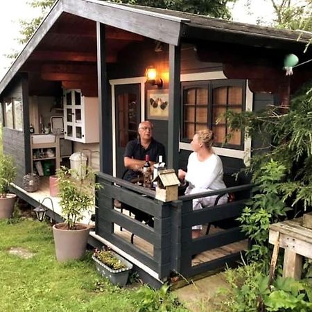 Unique Tiny House Near 3 Peaks - The Zedshed Apartment Bentham Екстериор снимка