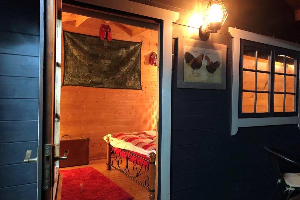 Unique Tiny House Near 3 Peaks - The Zedshed Apartment Bentham Екстериор снимка
